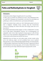 Vorschau - Arbeitsblätter - Das Einmaleins der Ernährung- Makronährstoffe im Überblick - Seite 1