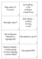 Vorschau - Spiele - JUGENDSPRACHE - Quiz / 14 Fragen - Seite 3