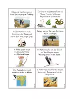 Vorschau - Arbeitsblätter - Mystery: Der rätselhafte Pfeilstorch (Ein Rätselfall zu Zugvögel) - Seite 2