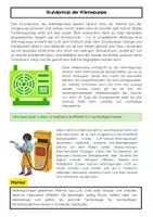 Vorschau - Arbeitsblätter - Die Wärmepumpe: Heizsystem, Energieeffizienz, Umweltwärme - Seite 1