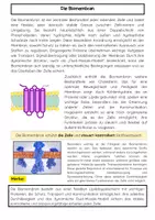 Vorschau - Arbeitsblätter - Die Biomembran: Aufbau und Funktion - Seite 1