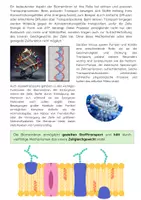 Vorschau - Arbeitsblätter - Die Biomembran: Aufbau und Funktion - Seite 2