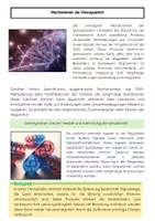 Vorschau - Arbeitsblätter - Genregulation: Zellen, Gene, Transkription & Epigenetik - Seite 2