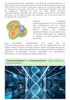 Vorschau - Arbeitsblätter - Genregulation: Zellen, Gene, Transkription & Epigenetik - Seite 3
