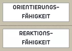 Vorschau - Fördermaterial/Inklusion - Koordinative Fähigkeiten – Merkkarten (Sport) - Seite 2