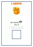 anteprima - Esercizi - L'ORA DI SCIENZE: i 5 sensi, attività semplificate - Pagina 3