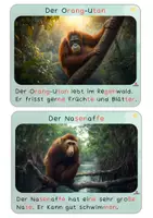 Vorschau - Fördermaterial/Inklusion - Schlaumeierkartei - Tiere in Borneo 3fach differenziert - Seite 2