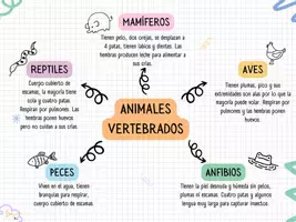 Vista previa - Unidades / Secuencias / Situaciones de Aprendizaje - Animales Vertebrados. Clasificación. Nivel 3º PRI - Portada