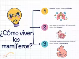 Vista previa - Unidades / Secuencias / Situaciones de Aprendizaje - Animales Vertebrados. Clasificación. Nivel 3º PRI - página 1