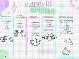 Vista previa - Unidades / Secuencias / Situaciones de Aprendizaje - Animales Vertebrados. Clasificación. Nivel 3º PRI - página 2