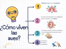 Vista previa - Unidades / Secuencias / Situaciones de Aprendizaje - Animales Vertebrados. Clasificación. Nivel 3º PRI - página 3