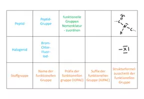 Vorschau - Spiele - funktionelle Gruppen Nomenklatur Zuordnungsspiel - Seite 3