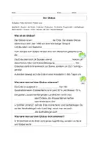 Vorschau - Stundenentwürfe - Das Gradnetz der Erde - Seite 2
