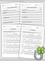 Vorschau - Arbeitsblätter - Sätze schreiben - Silvester/ Neujahr - 13 Arbeitsblätter - zweifach differenziert - Seite 3