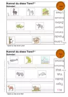 Vorschau - Arbeitsblätter - DmS: Tiere 2 - Wörter schreiben (exotische Tiere) - Seite 1