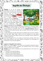 Vorschau - Arbeitsblätter - Begriffe der Ökologie - Seite 1