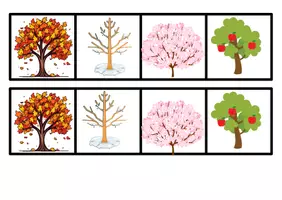 anteprima - Clipart / Immagini originali - Scienze le piante nelle stagioni - Pagina di copertina