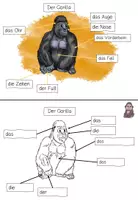 Vorschau - Stationenlernen - Lerntheke: Der Gorilla (Wildtiere) - Seite 2