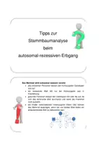 Vorschau - Arbeitsblätter - Hilfekärtchen zur Stammbaumanalyse im Thema Genetik - Seite 2
