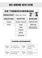 Vorschau - Arbeitsblätter - Selbstlernheft Tierbeschreibung - Seite 2