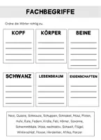 Vorschau - Arbeitsblätter - Selbstlernheft Tierbeschreibung - Seite 3