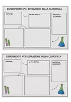 anteprima - Esercizi - Piante e foglie - Pagina 3