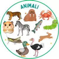 anteprima - Esercizi - Suoni difficili - ortografia e grammatica - Pagina 1