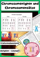 Vorschau - Arbeitsblätter - Chromosomen Materialpaket: Zellteilung, Genetik, DNA - Seite 1