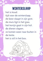 Voorbeeld - Leesteksten en flitskaarten thema winter M3 - Voorblad