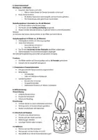 Vorschau - Arbeitsblätter - Weihnachten Fensterbilder - Kerzen Fenster - Weihnachtskerzen - Kunstprojekt für Klasse 1-2 || Kerzen zum Ausmalen - Weihnachten Kunst Weihnachten - Kerzen Basteln Weihnachten Basteln - Fensterbilder Weihnachten Fensterdeko Winterkunst Grundschule - Seite 3