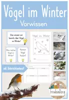 Vorschau - Arbeitsblätter - 1. Stunde: Vögel im Winter - Vorwissen - Deckblatt