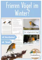 Vorschau - Stundenentwürfe - 3. Stunde: Frieren Vögel im Winter? - Deckblatt