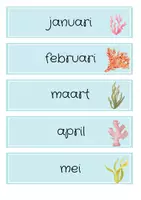 Voorbeeld - Klassenthema onderwaterwereld | bewerkbaar - Pagina 3