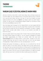 Vorschau - Arbeitsblätter - Experiment, Gaslöslichkeit - Warm/Kalt - Protokoll + Arbeitsblätter - Seite 2