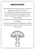 anteprima - Schede informative - Alla scoperta del mondo dei funghi - Pagina 2