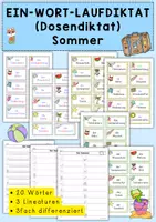 Vorschau - Arbeitsblätter - Ein-Wort-Laufdiktat, 1. Klasse, Sommer, DaF, DaZ - Deckblatt