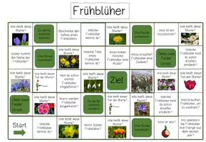 Vorschau - Spiele - Spielfeld: "Frühblüher" #Silvesterknaller2025 - Seite 2