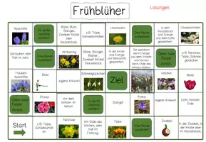 Vorschau - Spiele - Spielfeld: "Frühblüher" #Silvesterknaller2025 - Seite 3