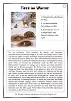 Vorschau - Stundenentwürfe - Rechtschreiben: Wimmelbild "Tiere im Winter" - Groß- und Kleinschreibung - DEUTSCH FÜR ZWISCHENDURCH - Seite 2