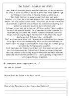 Vorschau - Arbeitsblätter - Sachtexte lesen & verstehen: Winter (Leseübungen, Klassen 3-4) - Seite 3