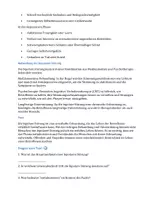 Vorschau - Arbeitsblätter - bipolare Störung - manisch / depressive Stimmungsschwankungen - Seite 2