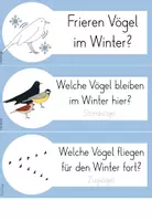 Vorschau - Unterrichtsreihen - Reihentransparenz Vögel im Winter - Seite 2