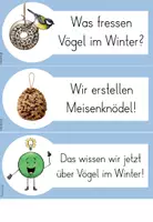 Vorschau - Unterrichtsreihen - Reihentransparenz Vögel im Winter - Seite 3
