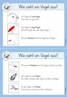 Vorschau - Anderer Materialtyp - Wissenskartei Vögel im Winter - Seite 2