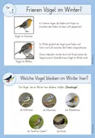 Vorschau - Anderer Materialtyp - Wissenskartei Vögel im Winter - Seite 3