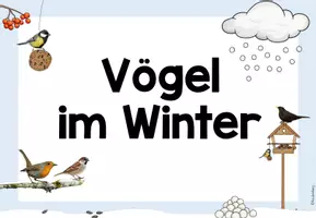 Vorschau - Anderer Materialtyp - Themenplakat Vögel im Winter - Seite 3