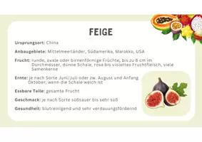 Vorschau - Stationenlernen - Kartei: Steckbriefe "Früchte aus aller Welt" - Seite 3