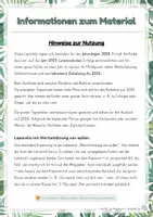 Vorschau - Anderer Materialtyp - Meine Tigerspuren - Rückblick 2025 & Ausblick 2026 - Freebie - wertschätzendes Leporello zu Neujahr | Klassen 2-4 - Seite 2