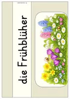 Vorschau - Poster - Frühblüher – Aushänge & Wortkarten | Sachunterricht Frühling Klasse 1 - Seite 1
