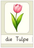 Vorschau - Poster - Frühblüher – Aushänge & Wortkarten | Sachunterricht Frühling Klasse 1 - Seite 2